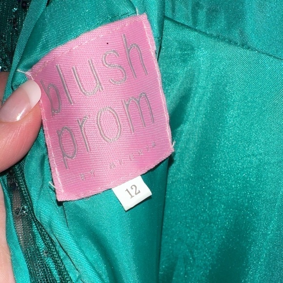 Blush by Alexia Designs - 20340 Embroidered Lace Sleeveless Gown - Picture 7 of 13